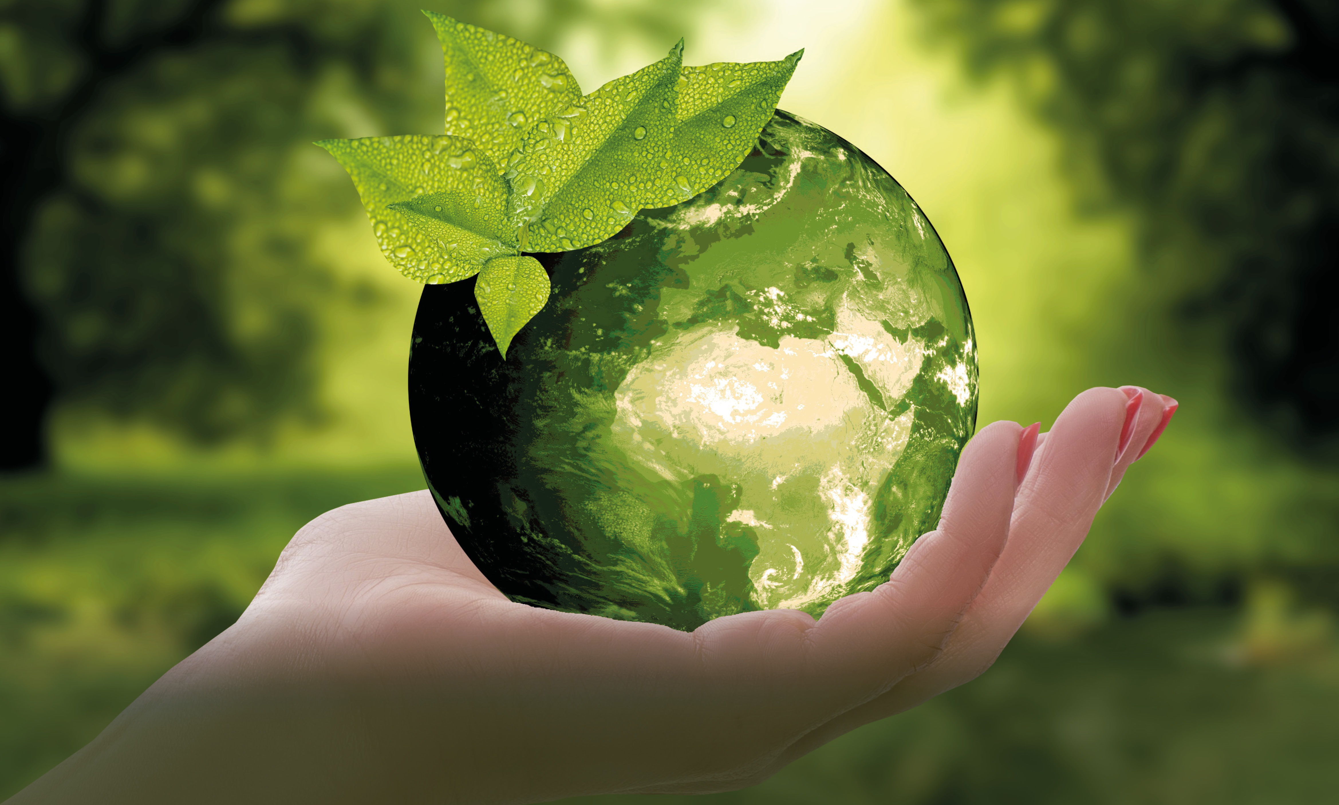 Nova comissão promoverá ações para melhoria do desempenho socioambiental do TCE/SC