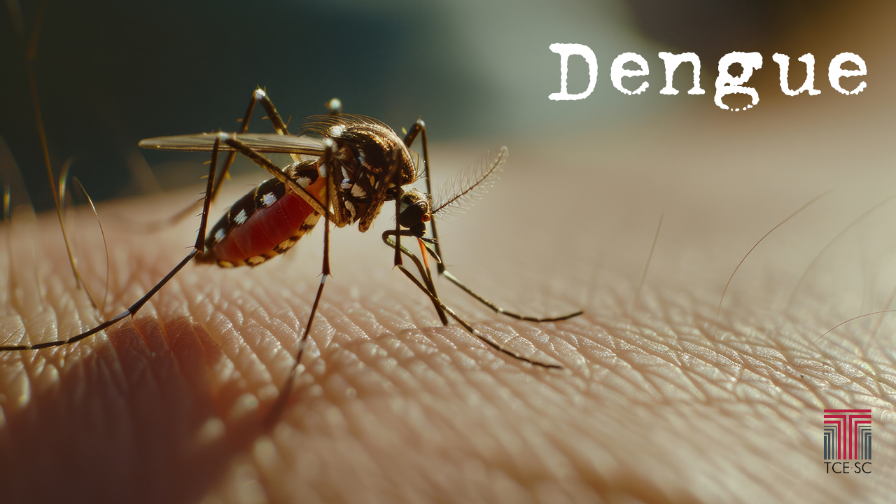Banner horizontal com a imagem de um mosquito da dengue sobre a pele de uma pessoa. Na lateral direita superior, a palavra “Dengue”, em fonte na cor branca, e inferior, a logomarca do TCE/SC. 