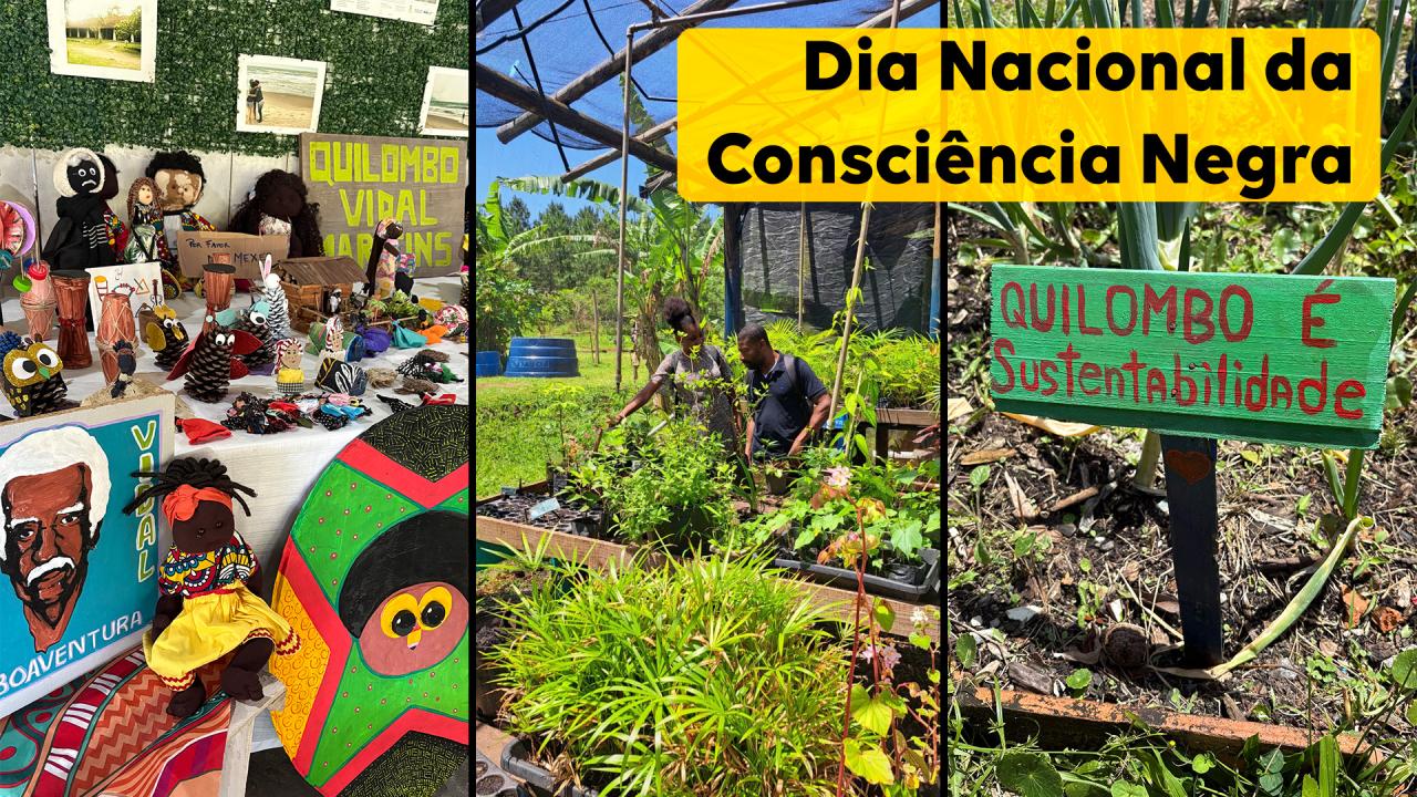 Imagem é composta por três fotos verticias. Na primeira, há uma série de artesanatos. Na segunda, aparece uma horta. A terceira tem uma placa verde escrito "Quilombo é sustentabilidade" em vermelho.