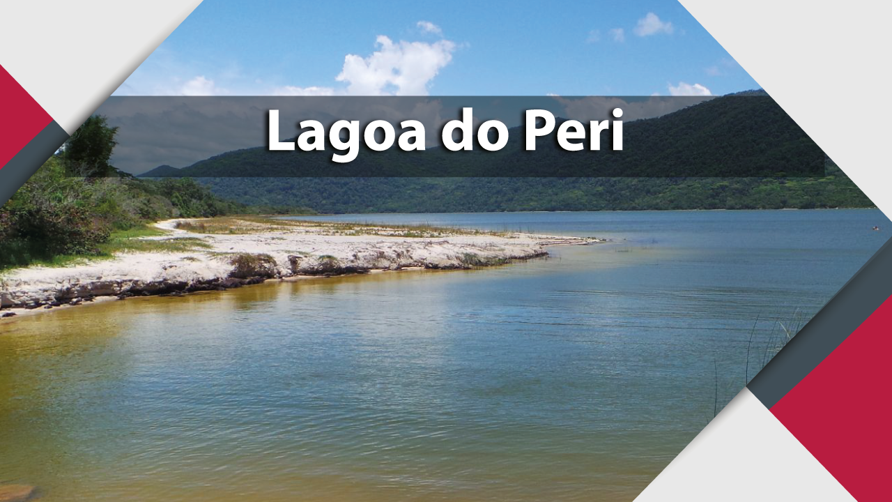 Imagem mostra a Lagoa do Peri, em Florianópolis. Em primeiro plano há água em tom que vai do amarelo para um azulado e ao fundo aparece uma pequena praia, que mostra o recuo da linha de água e um pouco do assoreamento