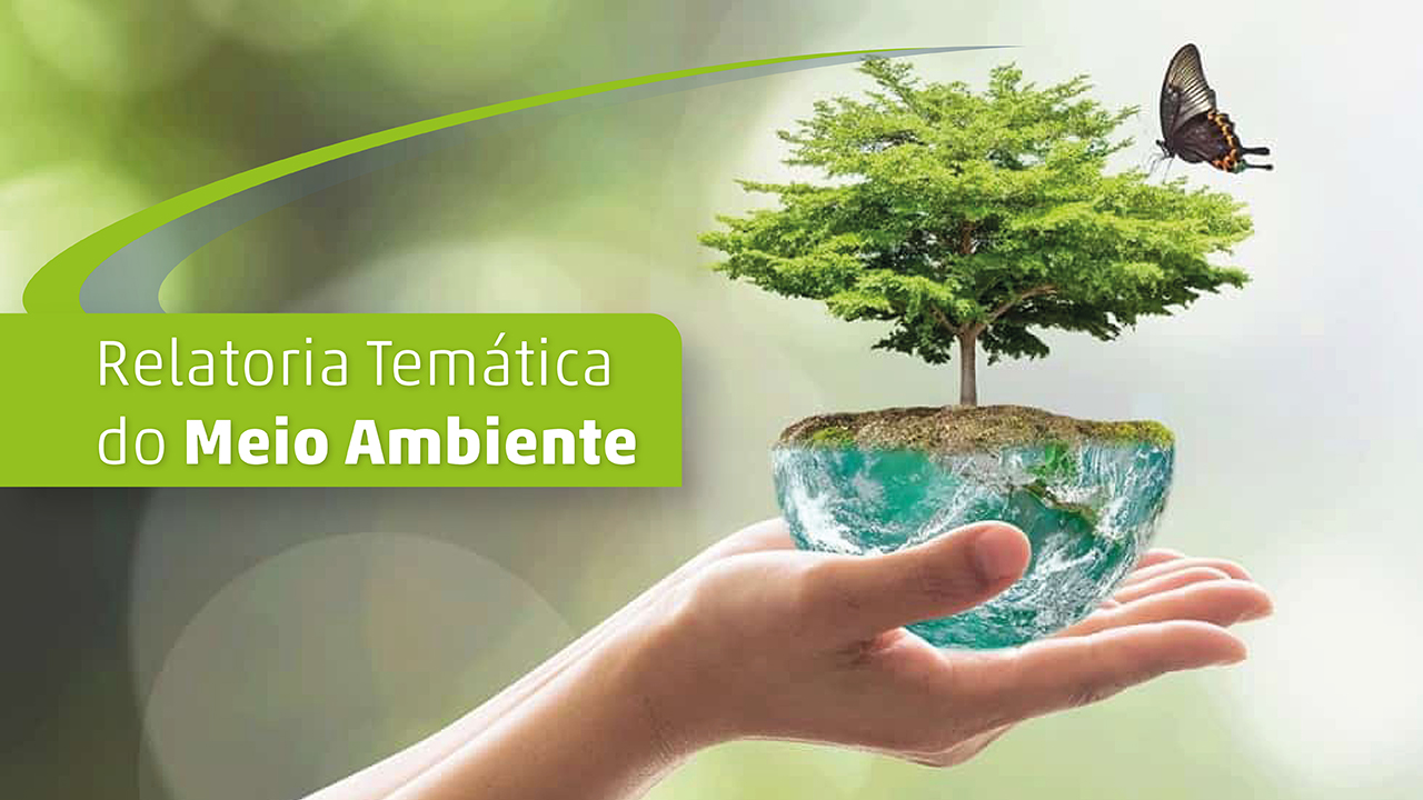 Banner com fundo acinzentado e esverdeado. No lado esquerdo, há um retângulo verde com a frase Relatoria Temática do Meio Ambiente. No direito, uma mão segura metade de um globo terrestre, representando o hemisfério sul do planeta. Sobre essa meia esfera, há uma árvore frondosa e uma borboleta. 