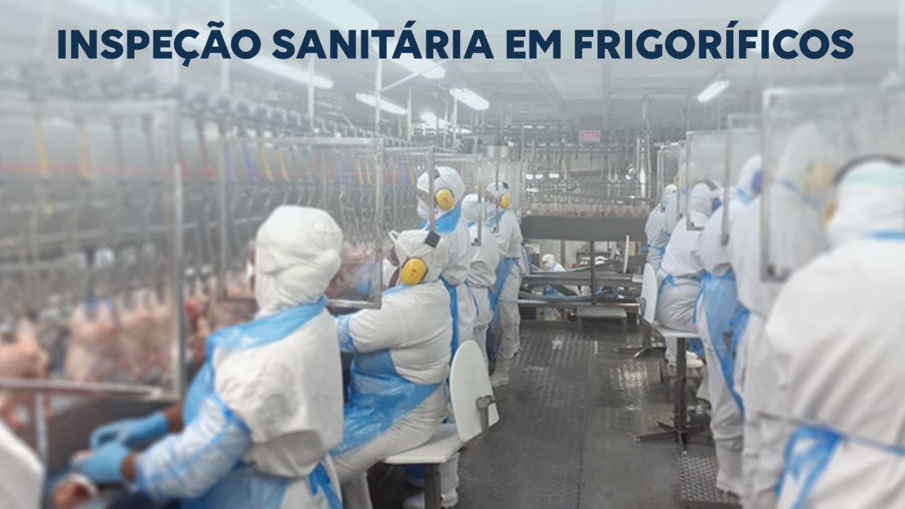 TCE/SC aponta caminho para resolver questão da agroindústria catarinense durante a pandemia