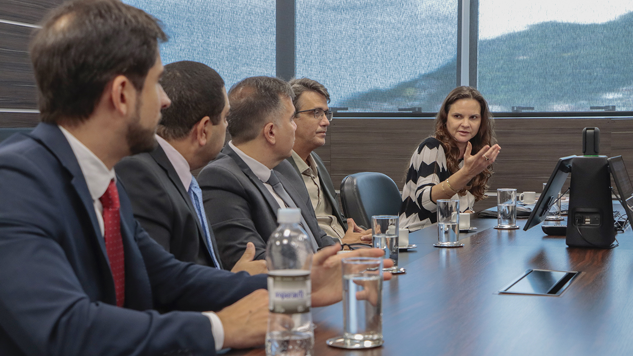 Banner horizontal com foto da comitiva do TCE-RJ reunidos com comitiva do TCE/SC diante de uma mesa enquanto conversam. Há quatro homens e uma mulher na foto, a assessora Flávia Ramos, do TCE/SC. Sobre a mesa, há copos de água.