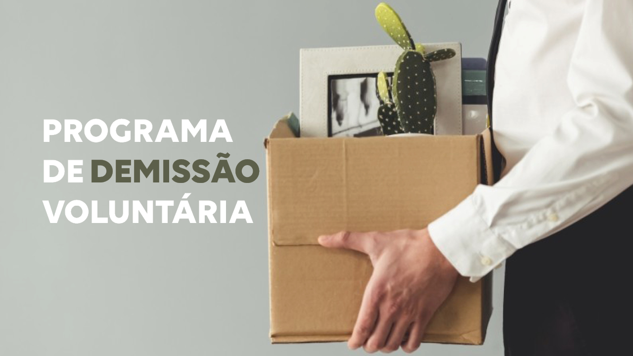 Banner horizontal com foto de pessoa carregando uma caixa com itens de escritório. A foto está cortada, de modo que só é possível ver os braços. À esquerda, o texto "Programa de Demissão Voluntária". 