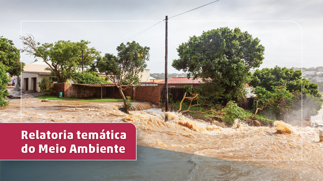 Descrição da Imagem: Banner horizontal com imagem de árvores sendo arrastadas por uma enxurrada. À frente, no canto inferior esquerdo, há o título “Relatoria temática do Meio Ambiente” destacado sobre um retângulo vermelho.