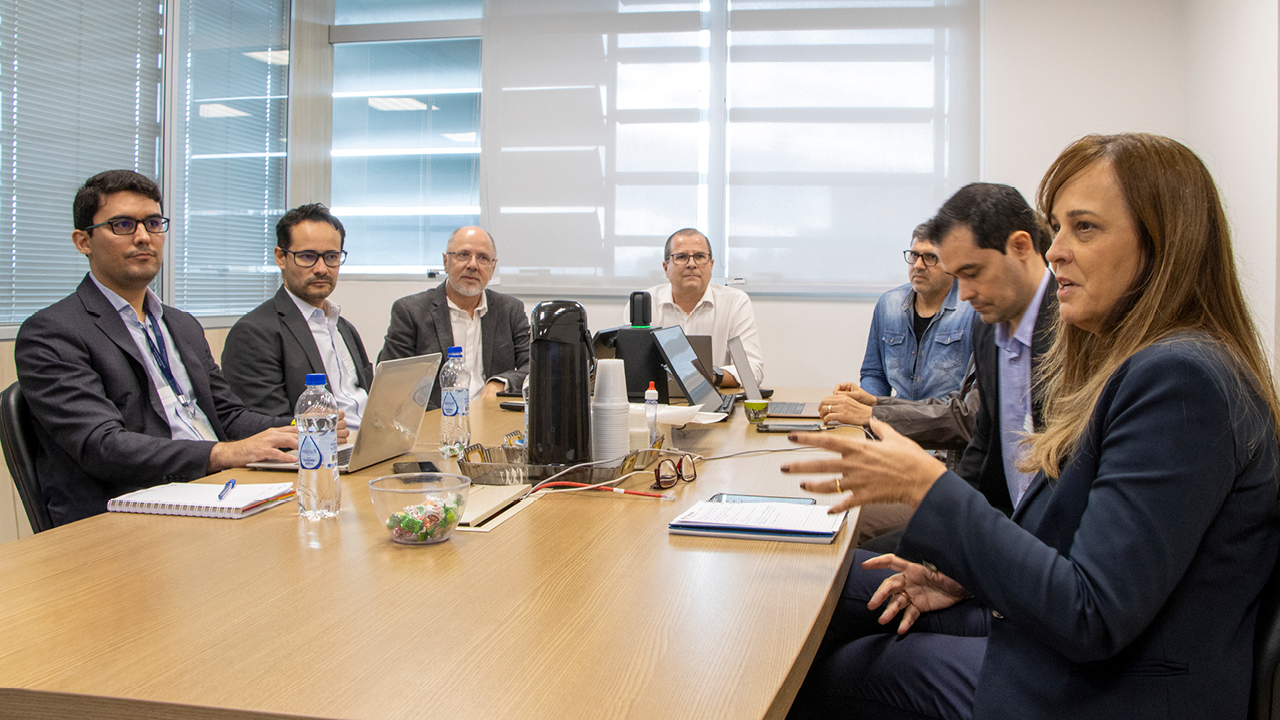 Foto de um grupo de pessoas sentadas ao redor de uma mesa retangular. À direita, uma mulher de cabelos compridos e castanhos. Os outros seis são homens.