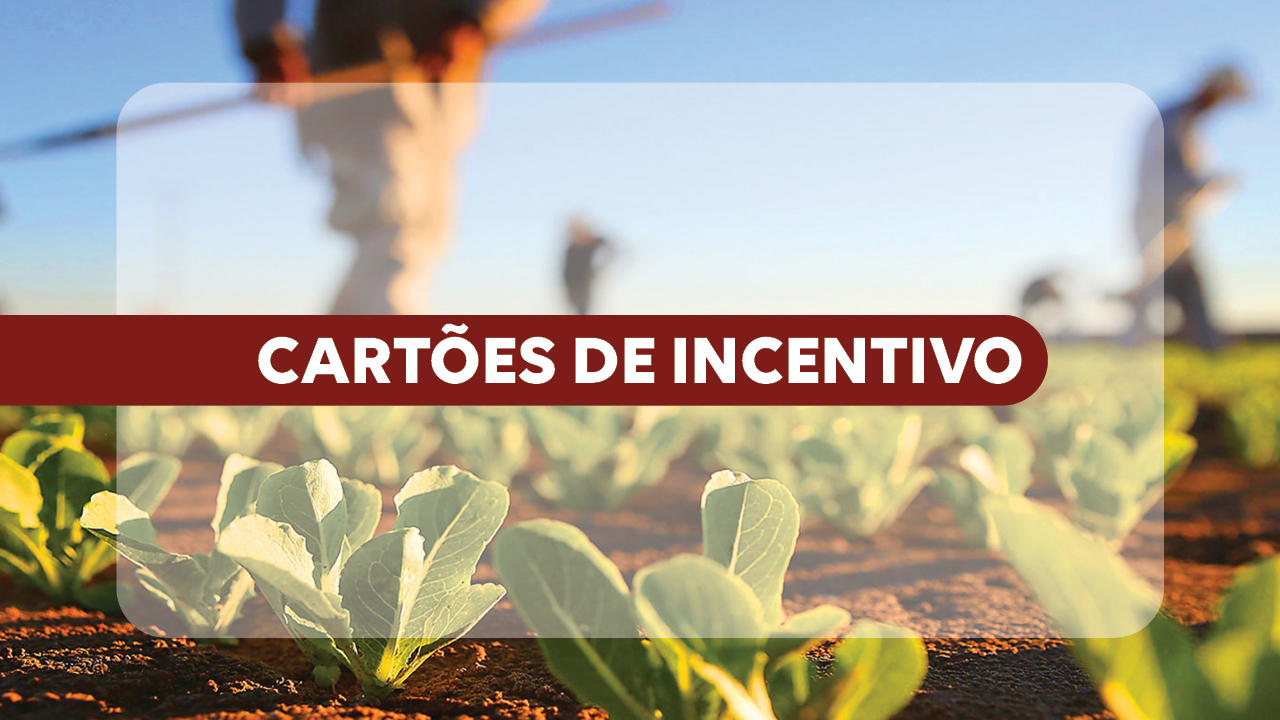 Banner horizontal com cena de cultivo agrícola em primeiro plano, mostrando mudas verdes plantadas em solo avermelhado. Ao fundo, desfocados, aparecem trabalhadores rurais em atividade no campo. Sobre a imagem, há uma faixa em tom vinho com o texto “Cartões de incentivo". 