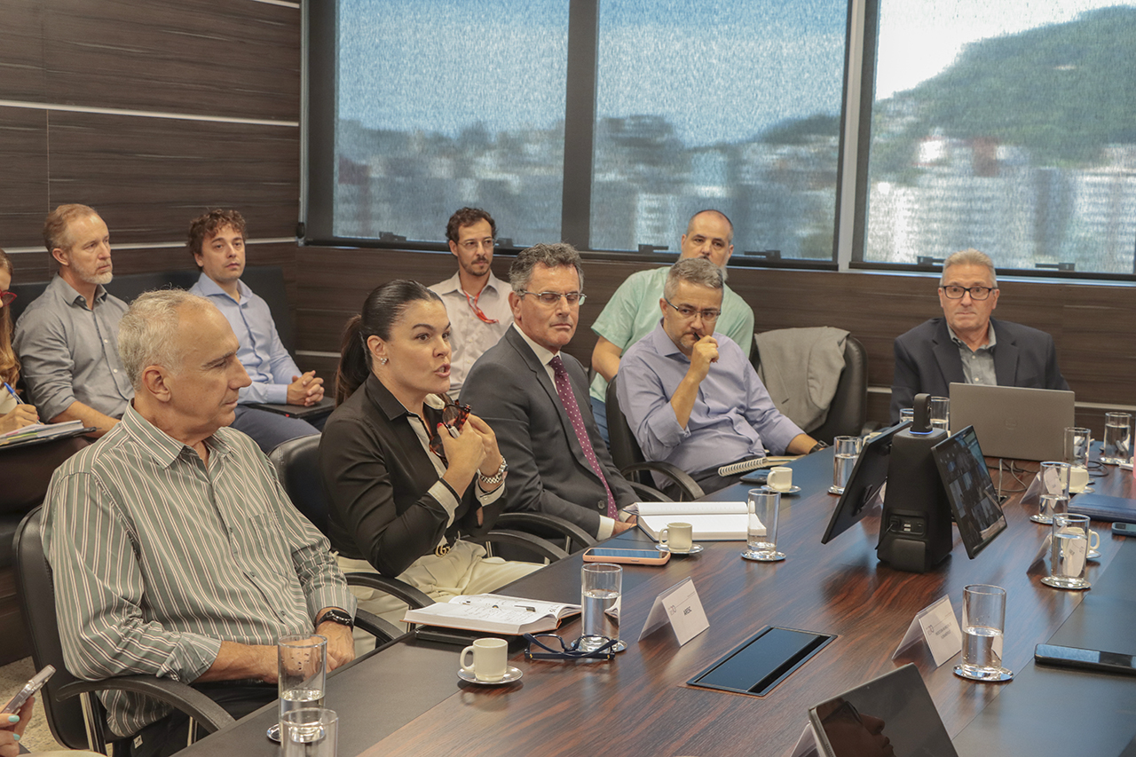 Foto da diretora-geral adjunta da DGCE, Monique Portella, falando aos demais durante a reunião. Ela é uma mulher branca, de cabelos escuros e presos. Ao lado, outros participantes.  