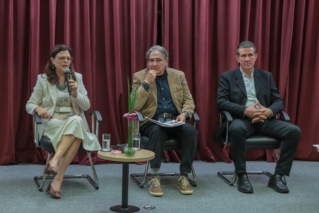 Foto horizontal de três painelistas sentados em poltronas no palco do auditório do TCE/SC. Entre os presentes, a procuradora Teresa Villac Pinheiro, que fala ao microfone, o conselheiro Aderson Flores e o secretário Admir Dalla Cort. Ao fundo, há cortinas bordôs.