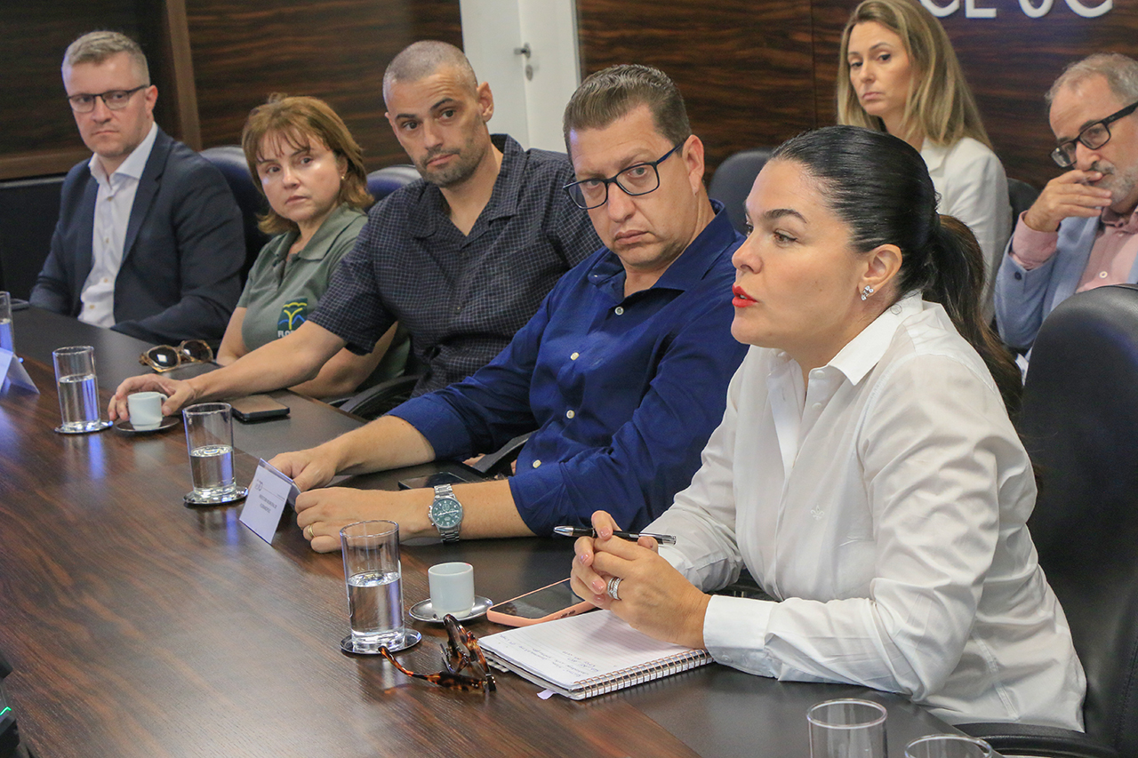 Foto da diretora-geral adjunta da DGCE, Monique Portella, falando aos demais durante a reunião. Ela é uma mulher branca, de cabelos escuros e presos. Ao lado, outros participantes.