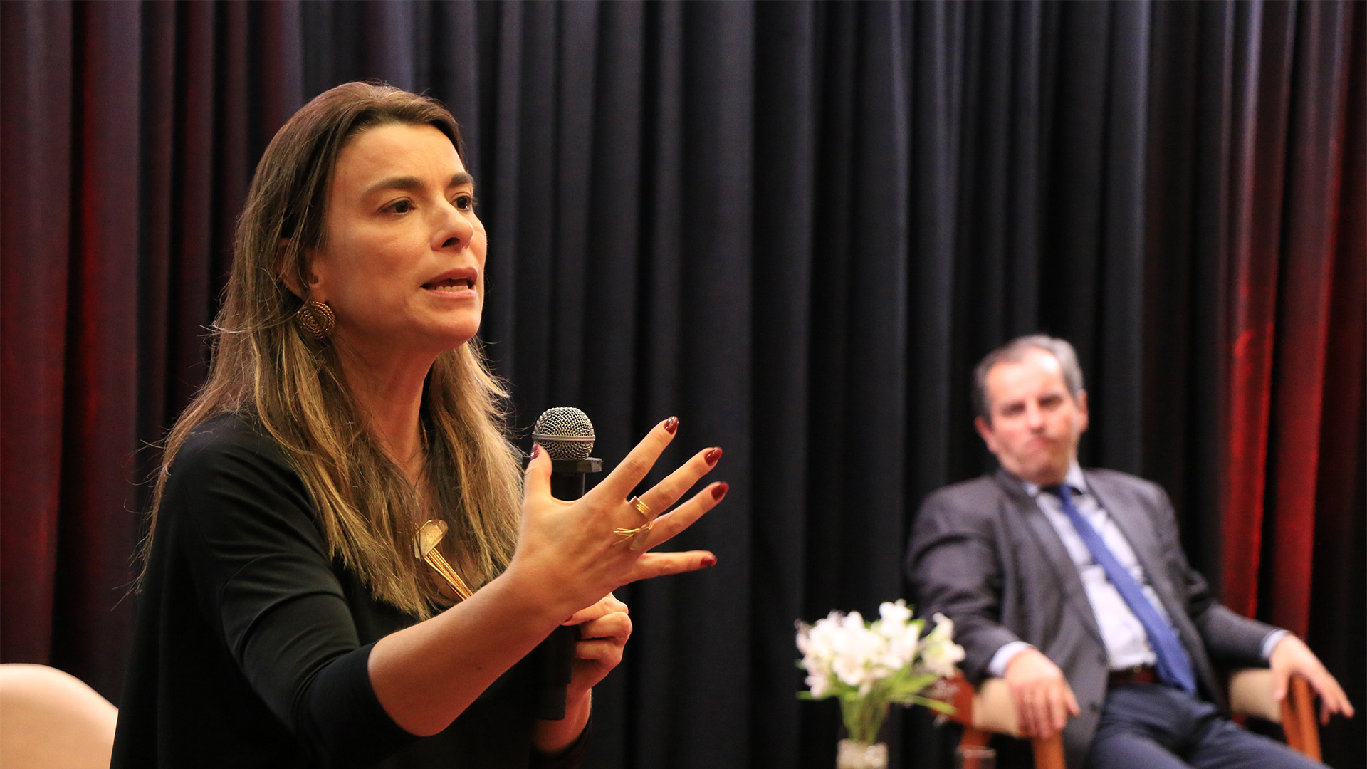 Foto horizontal que mostra a presidente do Instituto Brasileiro de Direito Administrativo (IBDA), Cristiana Fortini, falando. Ao fundo, está o conselheiro Ivan Lelis Bonilha, do TCE/PR. 