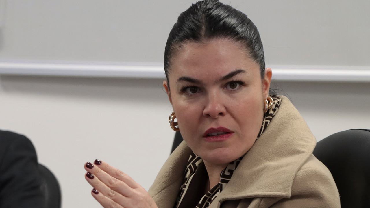 Foto da diretora-geral adjunta de Controle Externo, Monique Portella, falando aos demais durante a reunião. É uma mulher branca, de cabelos escuros e presos. Veste roupa clara e gesticula com as mãos. Tem expressão séria.