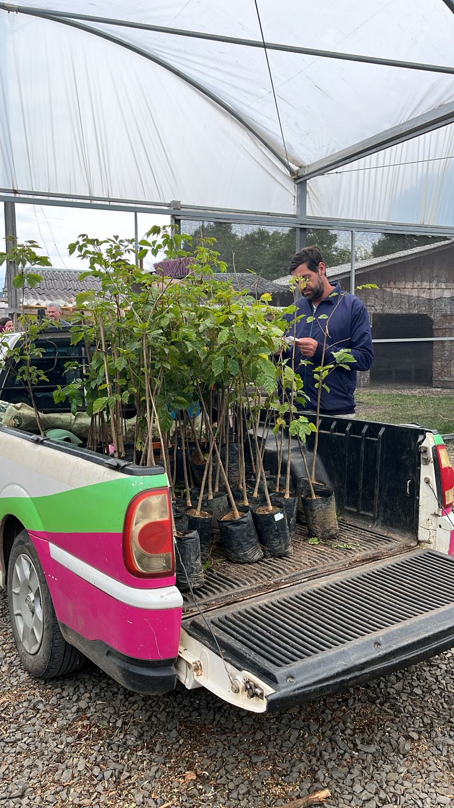 Foto da entrega realizada em Lages. Há uma caminhonete carregada de mudas de planta. Atrás, um homem verifica um papel. 