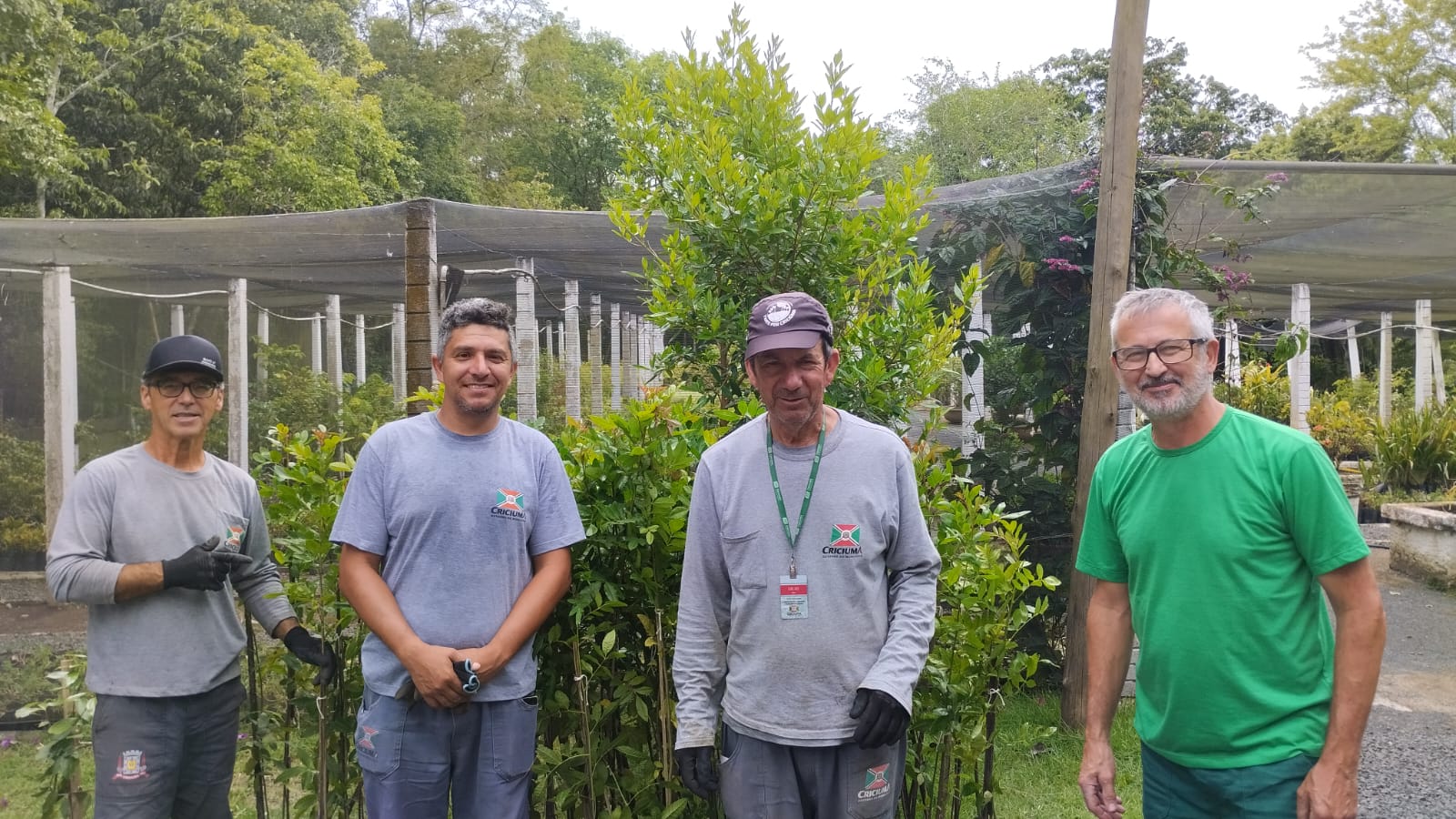 Foto da entrega realizada em Criciúma. Há três homens, lado a lado, que estão em um espaço aberto, em frente às mudas recebidas do Tribunal. Ao fundo, há área verde. 