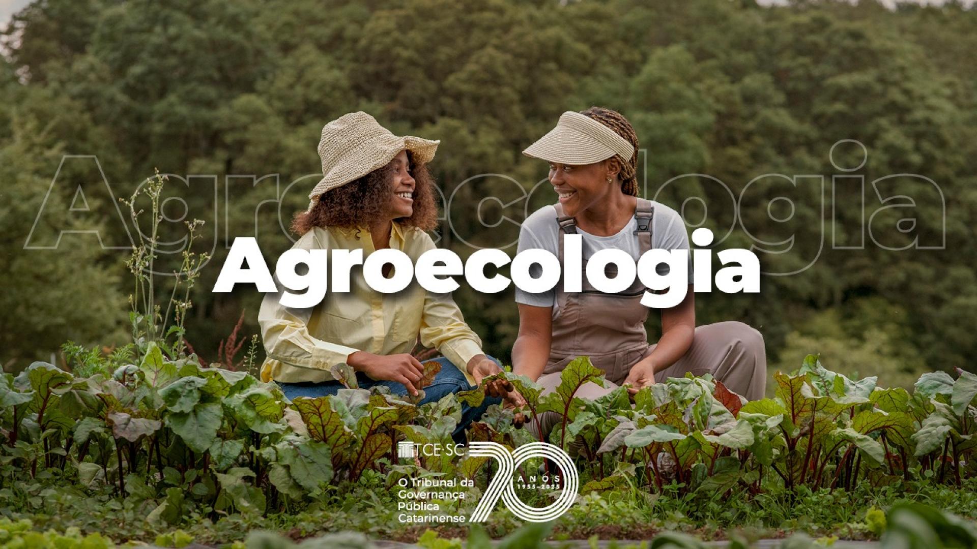 Imagem mostra duas mulheres ao centro. Elas estão agachadas e mexendo em uma lavoura. Ao centro, escrito em branco, há a palavra “agroecologia”. Abaixo dela, também centralizado e em branco, há a logomarca de 70 anos do TCE
