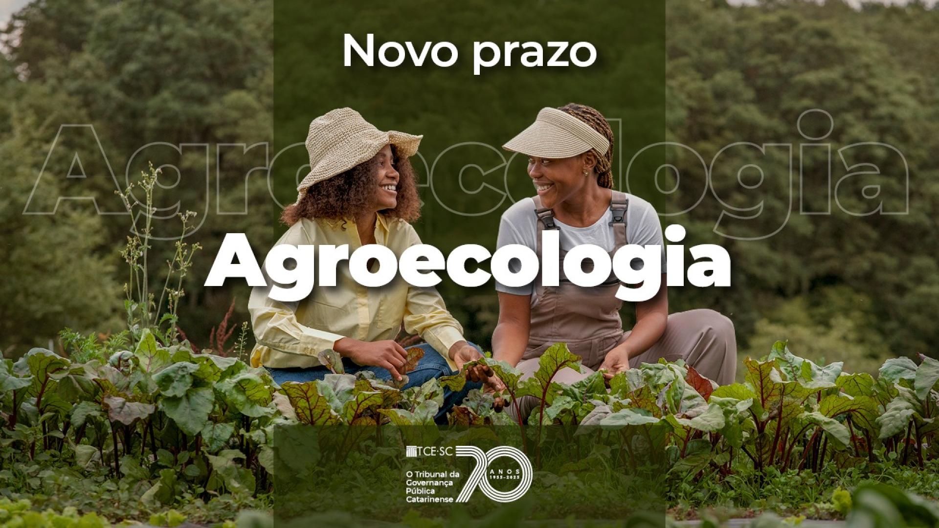 Imagem mostra duas mulheres ao centro. Elas estão agachadas e mexendo em uma lavoura. Ao centro, escrito em branco, há a palavra “agroecologia”. No alto está escrito em letras brancas “novo prazo”. Abaixo, centralizado e também em branco, há a logomarca de 70 anos do TCE. 