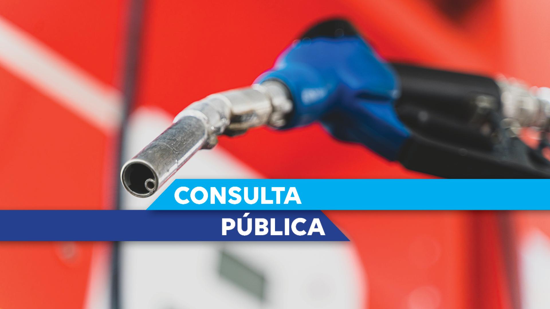 Banner horizontal com foto de uma bomba de combustível. Em primeiro plano, o bico de abastecimento nas cores azul e preta. Ao centro, há faixas azuis com o texto "Consulta Pública" em destaque. 