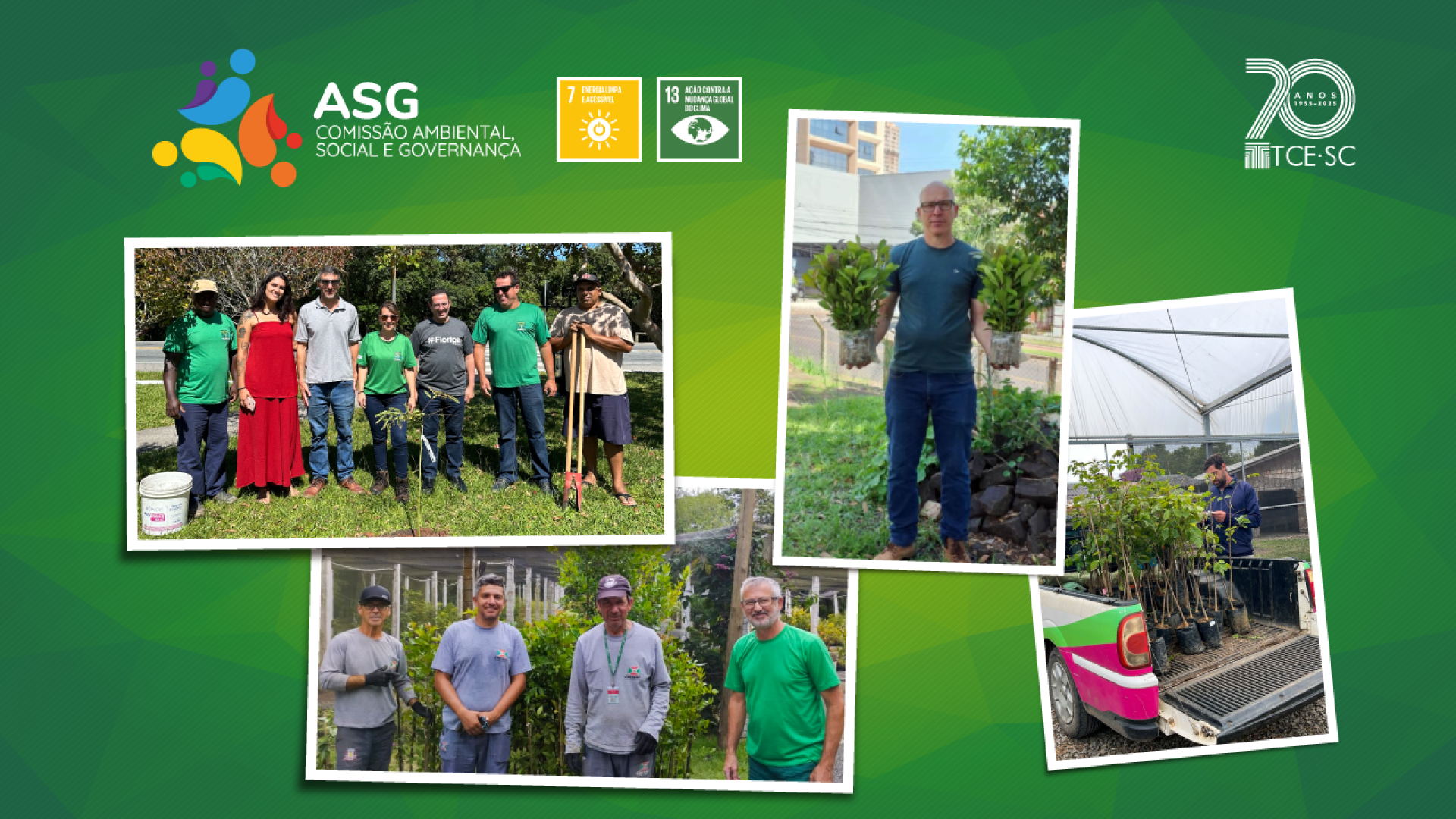 Banner horizontal com fundo verde e quatro fotos das entregas das mudas. Nelas, aparecem pessoas recebendo e mostrando as plantas. Na borda superior, logo da Comissão ASG e do TCE/SC e selos dos Objetivos de Desenvolvimento Sustentável 7 e 13. 
