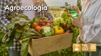Foto de um agricultor segurando uma caixa de madeira com vários produtos hortifrutigranjeiros. A sua frente, uma pessoa molhando os produtos com um borrifador. A foto está cortada, de modo que não se vê o rosto das pessoas. No canto superior esquerdo, o título “Agroecologia”, em letras brancas. No canto inferior direito, três quadrados na cor bege clara: o primeiro com a logo da ODS 2; o segundo, com o da ODS 12; e o terceiro com a logo do TCE/SC. 