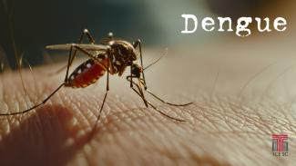 Banner horizontal com a imagem de um mosquito da dengue sobre a pele de uma pessoa. Na lateral direita superior, a palavra “Dengue”, em fonte na cor branca, e inferior, a logomarca do TCE/SC. 