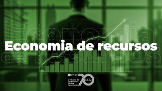 Imagem em tom esverdeado mostra uma silhueta de um homem olhando por uma janela ao fundo. Sobre essa imagem, há um gráfico com uma seta que sai de uma posição mais baixa para uma mais alta. Em branco, ao centro, há as palavras “economia de recursos”