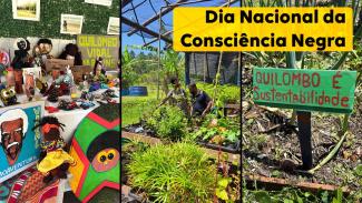 Imagem é composta por três fotos verticias. Na primeira, há uma série de artesanatos. Na segunda, aparece uma horta. A terceira tem uma placa verde escrito "Quilombo é sustentabilidade" em vermelho.