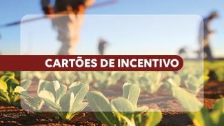 Banner horizontal com cena de cultivo agrícola em primeiro plano, mostrando mudas verdes plantadas em solo avermelhado. Ao fundo, desfocados, aparecem trabalhadores rurais em atividade no campo. Sobre a imagem, há uma faixa em tom vinho com o texto “Cartões de incentivo". 
