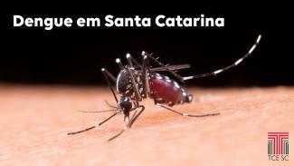 Foto de um mosquito aedes aegypti sobre a pele. No canto superior esquerdo, há o texto “Dengue em Santa Catarina”, e, no canto inferior direito, o logo do TCE/SC.