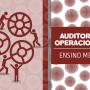 Banner Auditorias Operacionais Ensino Médio
